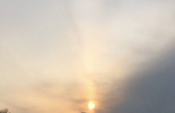 除菌・抗菌・空間除菌・抗ウィルス効果２４時間続く【銀イオン】の力